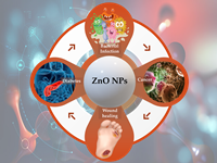 zinc and zinc oxide nanoparticles for theranostic applications