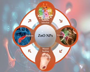 zinc and zinc oxide nanoparticles for theranostic applications